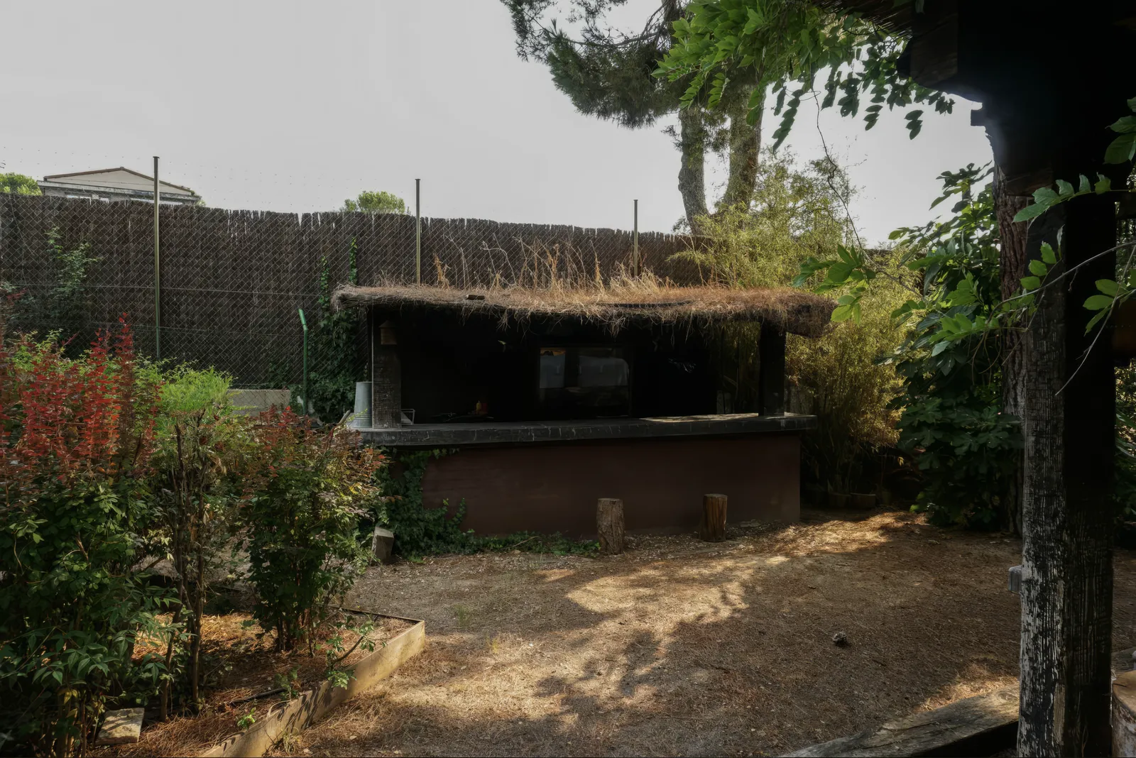 Bar exterior entre la vegetación del jardín
