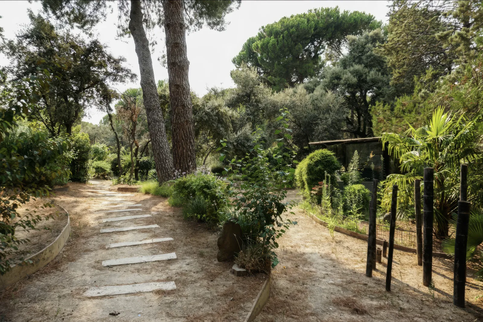 Camino de piedra entre la vegetación del jardín