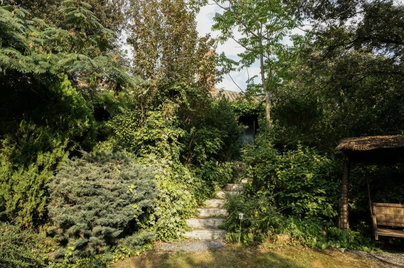 Escaleras de piedra entre encinas